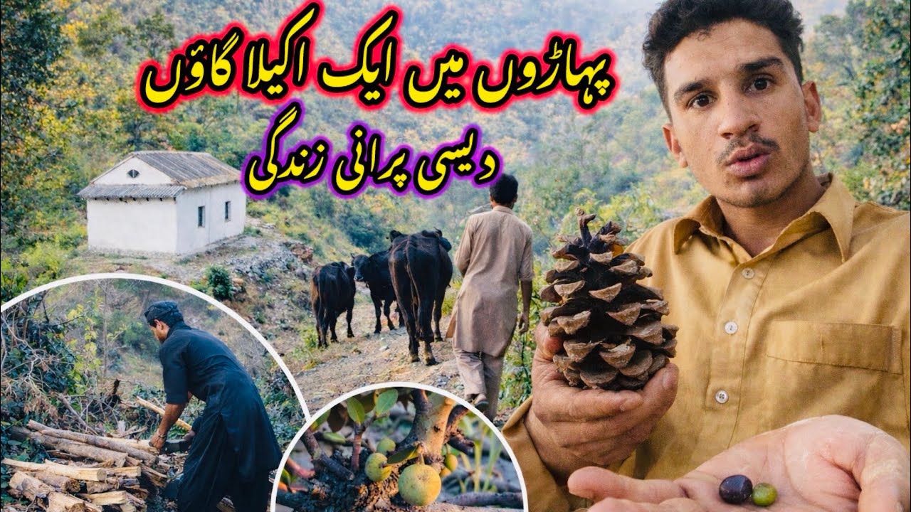 ازاد کشمیر کے پہاڑوں میں ایک اکیلا گاؤں یہ ویڈیو دیکھ کر اپ کو اپنی پرانی زندگی یاد اجائے گی  😍 