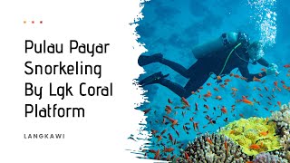 Pulau Payar Snorkeling | Langkawi | Malaysia