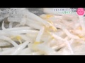 手間無し昆布茶もやし　まごころ美術@秋葉原.
