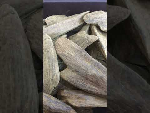 من فضائل عبدالله بن مسعود وامه رضي الله عنهما