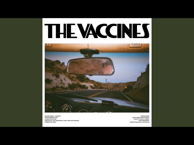 THE VACCINES - THE DREAMER