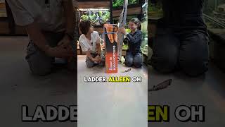 Download Lagu Ik schrok zo erg😭😭😭😭 MP3