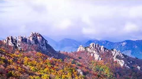 سورة يس بصوت القارئ رشاد درويش