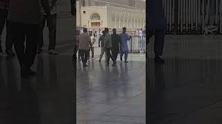 Download Lagu muhammad nabina - hamada helal - lirik dan terjemahan indonesia sholawat nabi MP3