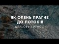 Як олень прагне до потоків