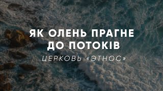 картинка: Як олень прагне до потоків