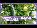 Un mtre carr potager productif toute lanne   jardins et loisirs