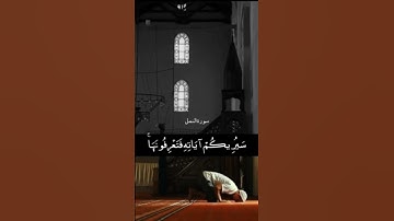 وَقُلِ الْحَمْدُ لِلَّهِ |#سورة_النمل |#سعد_الغامدي
