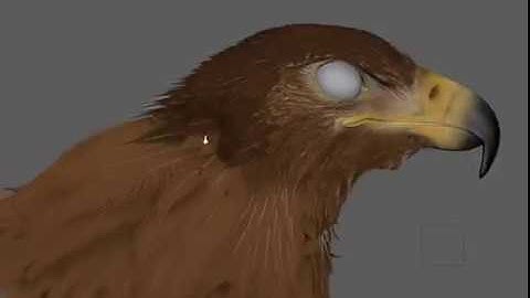 Ornatrix Scatter operator: The new scatter operator designed for feather