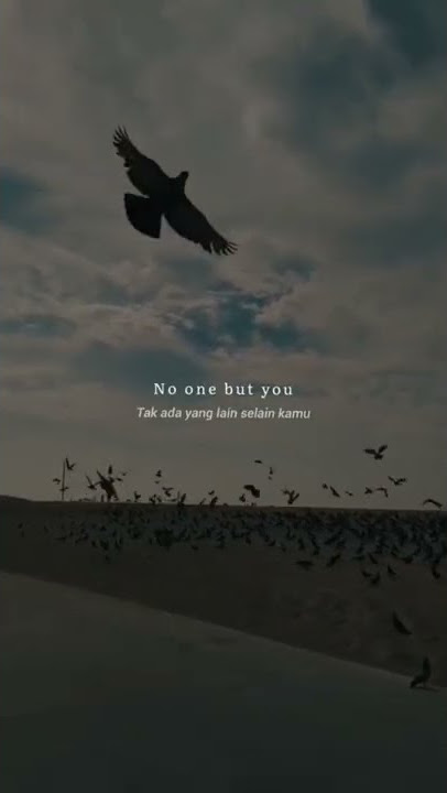 No One But You - Maher Zain #shorts #short #shortvideo #mentahan #storywa #lirik #liriklagu