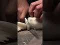 Rui “The Star” Kiritsuke slicing a daikon #fyp #satisfying #kitchenknife #japaneseknife #ruiknife