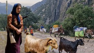 Эпическая миграция кочевников Загроса: переход скота на вершину горы