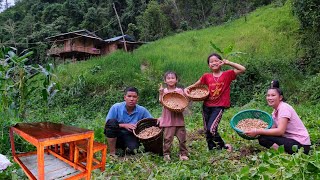 Harvesting Peanuts, Processing and Bringing to the Market for Sale, Painting Tables and Chairs