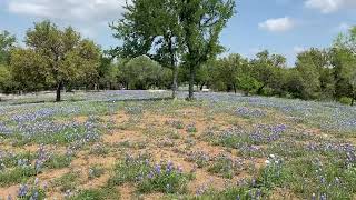 Lot 118 Property tour video
