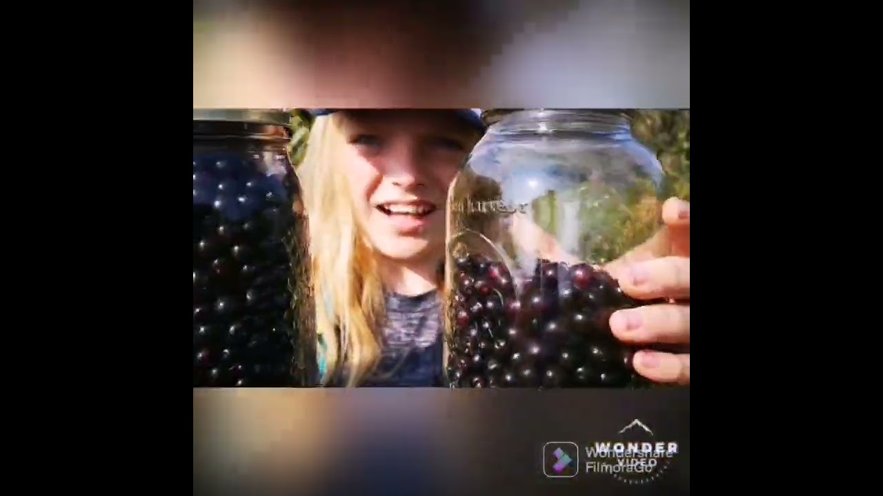 foraging day