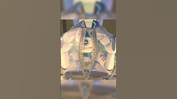 monkey costume | ASTRO