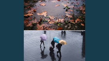 Sprightly Backdrops for Soothing Storms