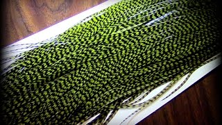 Fly Tying: Selecting Saddle Hackle