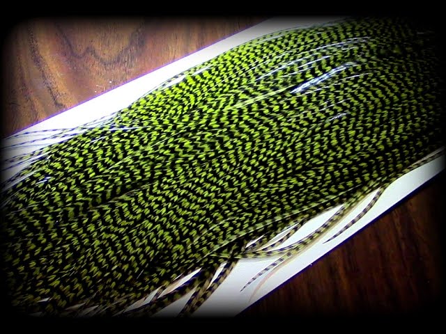 Fly Tying: Selecting Saddle Hackle - YouTube