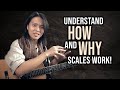 What are Guitar Scales? (Understand HOW and WHY Scales Work!)