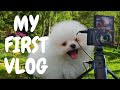 My first vlog  my first vlog with pomeranian pkanimals14