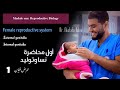أول محاضرة نسا وتوليد تانية معهد تمريض وكلية Female Reproductive System Mr Mustafa Rabie 