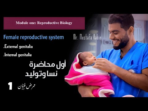 أول محاضرة نسا وتوليد تانية معهد تمريض وكلية Female Reproductive System Mr Mustafa Rabie