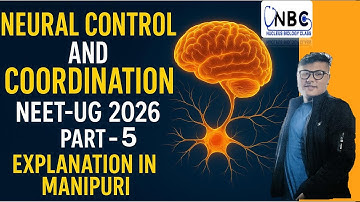 Neural Control and Coordination || Part-5 || Online NEET UG Foundation Course #ncert #neet