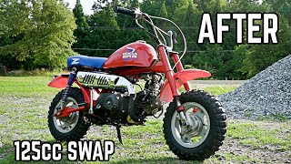 Honda Z50R Budget Restoration | Transforming a FORGOTTEN Honda Mini Bike