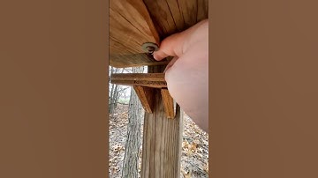 I Have To Stick My Hand In There! (Awesome Gadget Geocache!)
