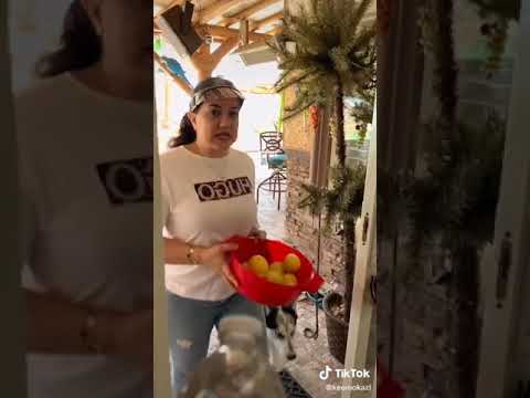 مقلب الماء في أم كريم Keemokazi 