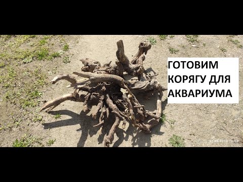 Коряга для аквариума,
