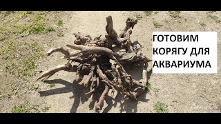 Коряга для аквариума, подготавливаем для дальнейшего использования.