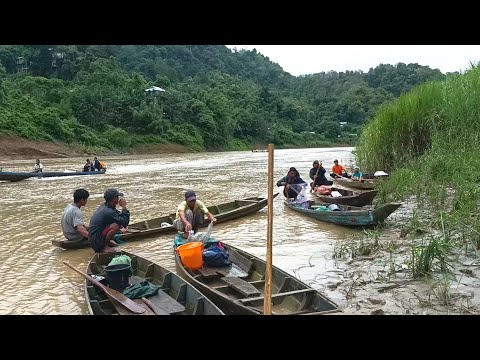 FloodllFor us to survive,we used to catch fish together in this placellNet fishing.🐟