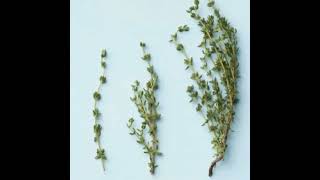 Famous Monday, June 2, 2025 - Yup, this crossword was dee-lish! Profile