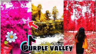 How To Make Purple Valley In Tiktok Purple Valley Purple Valley By Otis.otspurple Valley Filter