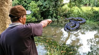 COBRA SUCURI MORA HÁ 15 ANOS NESSE LOCAL, SERÁ MESMO FUI AVERIGUAR ESSE CASO.