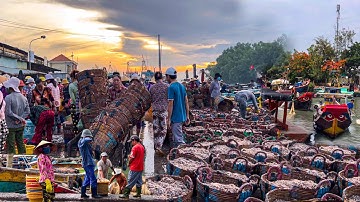 VÀM LÁNG Đáy Sông Cầu Trúng Tôm Cá Ruốc | Bất Ngờ Nhịp Sống Lúc 5h Sáng