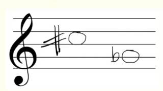 Notation Conventions