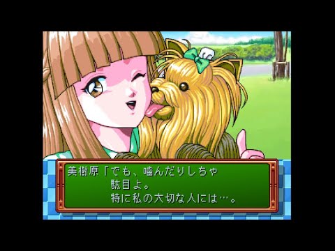 PS ときめきメモリアル ～forever with you～ 美樹原愛 攻略