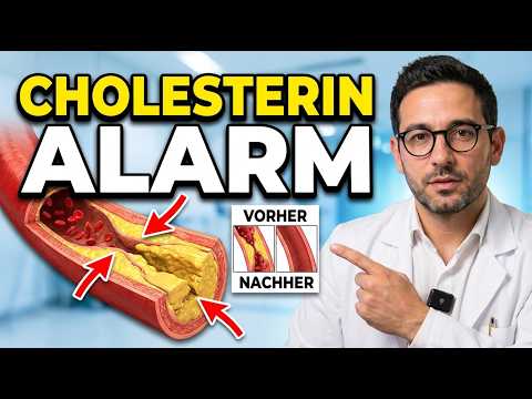 Halsschlagader dicht? Warum LDL nur die halbe Wahrheit ist – und was wirklich schützt