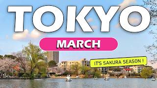 TOKYO WEATHER IN MARCH | SHOULD YOU GO?