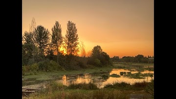 the intensity or purity of a color in painting - Michael Orwick Arts - Painting demonstrations 4 - 2