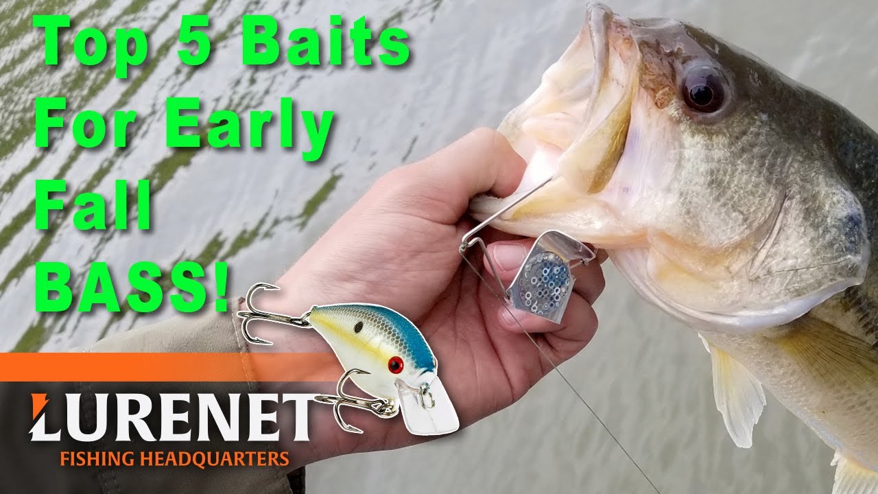 Jason Christie's Top 10 EARLY Fall Bass Fishing Lures