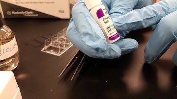 Mounting Coverslips following Staining Bio-3400K