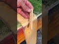 👍🏻 #interesting #youtobeshorts #diy #shortvideo #asmr #shorts