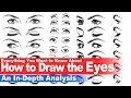 Everything You Need to Know About How to Draw the Eyes (In-depth Analysis)