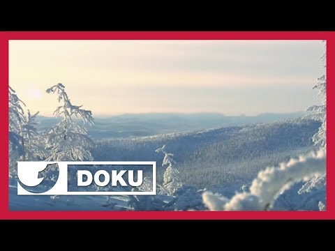 So ist das Leben am kältesten Ort der Welt | Doku