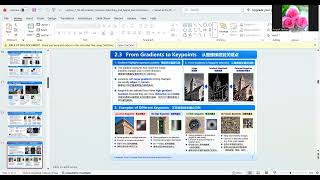 Understanding Image Gradients: Magnitude, Direction & Orientation | Computer Vision Basics