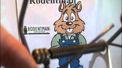 Setting a DK-1 Gopher Trap 001.MP4